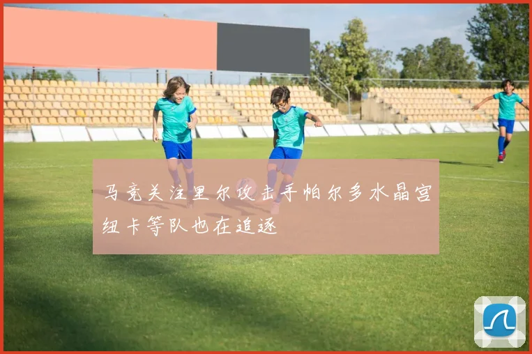 马竞关注里尔攻击手帕尔多水晶宫纽卡等队也在追逐