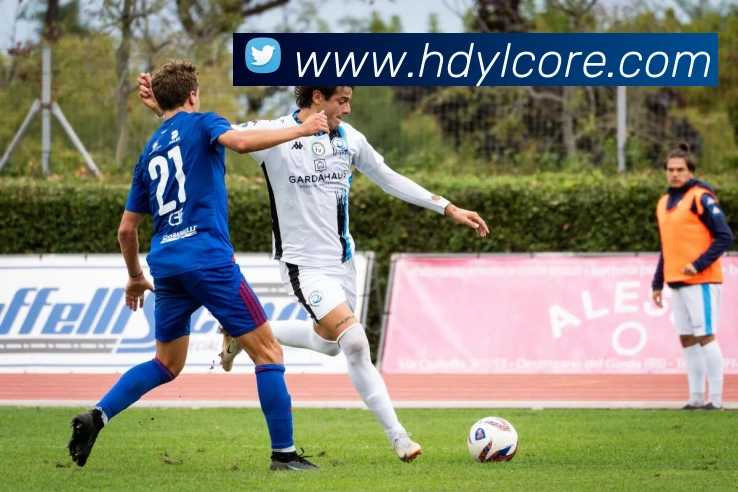 恒达娱乐平台生态图